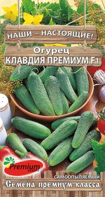 Семена Огурец Клавдия Премиум F1 5шт купить в интернет-магазине Доминго