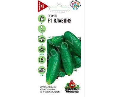 Клавдия Премиум F1 - Премиум Сидс