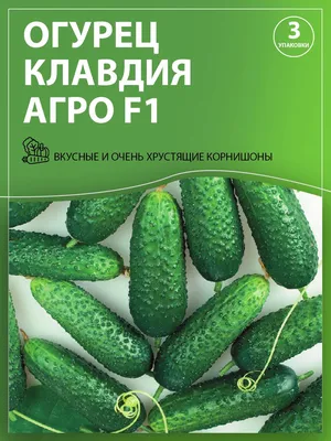 Огурец КЛОДИН F1. Плазменные семена