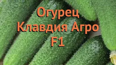 Огурец Клавдия F1 10шт/10, Аэлита цв. АВ купить в Тюмени - КрепыЖ