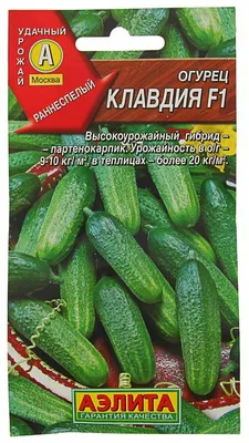Огурец обыкновенный Клавдия Агро F1 🌿 обзор: как сажать, семена огурца  Клавдия Агро F1 - YouTube