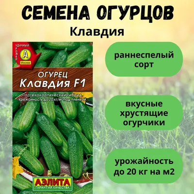 Огурец Клавдия Агро F1 (А) (ЦВ*) 12шт. купить в интернет-магазине RemontDoma