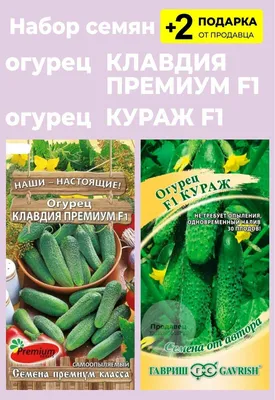 Огурец Клавдия агро F1 0,3г Гавриш (б.п.е) | Агромаркет