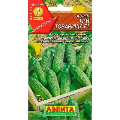 Огурец Клавдия Агро 6 шт купить для Бизнеса и офиса по оптовой цене с  доставкой в СберМаркет Бизнес