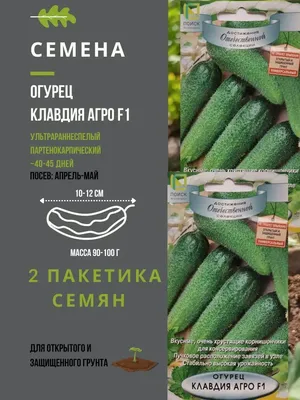 Семена Огурец Клавдия Агро F1 — купить в Петровиче в Санкт-Петербурге: цена  за штуку, характеристики, фото