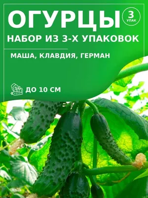Очень ранний огурец Вера F1 в Москве – цены, характеристики, отзывы