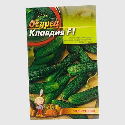 Огурец