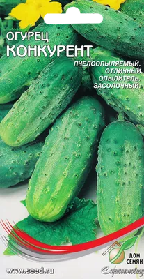 Семена Прочие Товары Огурец Конкурент – купить онлайн, каталог товаров с  ценами интернет-магазина Лента | Москва, Санкт-Петербург, Россия