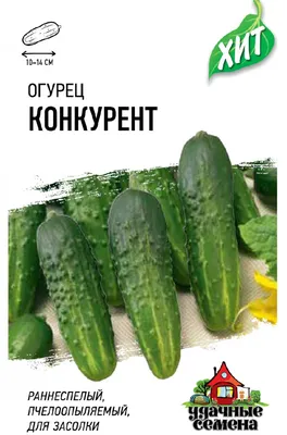 Огурцы конкурент фото фотографии