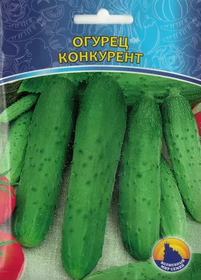 Огурец: Огурец \"Конкурент\" Крым 1г.