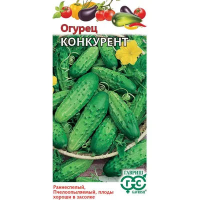 Семена огурца Конкурент, 0,5кг: купить оптом, цена 513 ₴/упаковка - 7 Соток