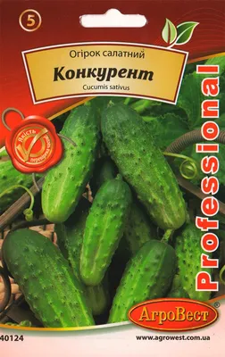Огурец Конкурент - 2г | Интернет-магазин 2sotki | Огурцы - мелкий пакет.  (ТМ \"Агропак\" и \"Элитсортсемена\") | Каталог товаров
