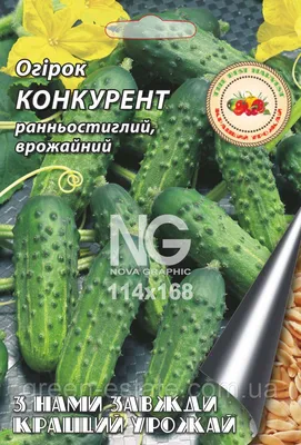 Купить Семена - Огурец Конкурент, 1 г. ❱❱ ТД Дарвин ❰❰❰