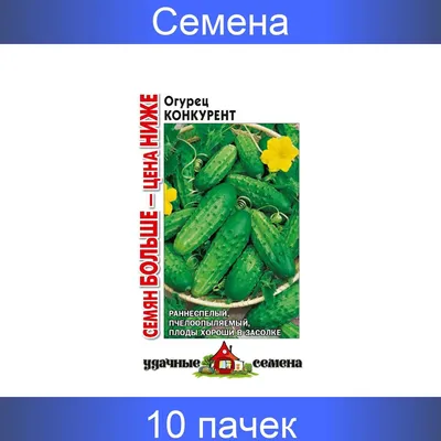 Огурцы Конкурент: описание и особенности сорта | Азбука огородника | Дзен