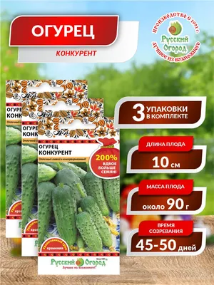 Огурец Конкурент (весовой) купить в Украине почтой, цена оптом 2022