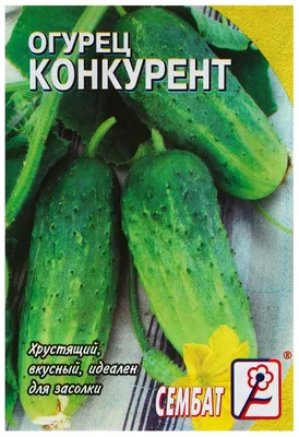 Купить Семена - Огурец Конкурент, 1 г. ОС ❱❱ ТД Дарвин ❰❰❰