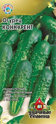 Купить Семена - Огурец Конкурент, 1 г. ❱❱ ТД Дарвин ❰❰❰