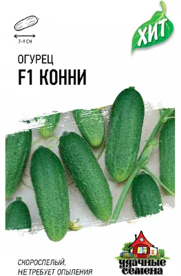 Огурец Конни F1 0,2 г Седек купить недорого в интернет-магазине товаров для  сада Бауцентр
