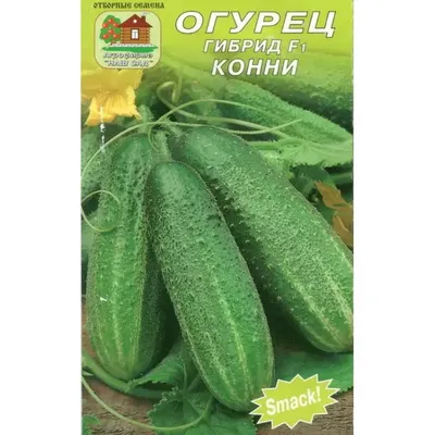 Огурец Конни F1 (ЦВ*) 12шт. купить в Смоленске