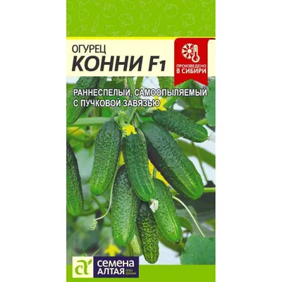 Купить Огурец сорта Конни F1 в Минске. Каталог семена овощей почтой.