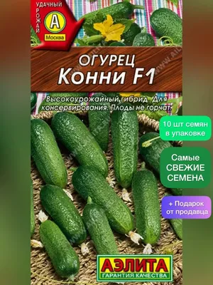 Семена огурец Конни F1