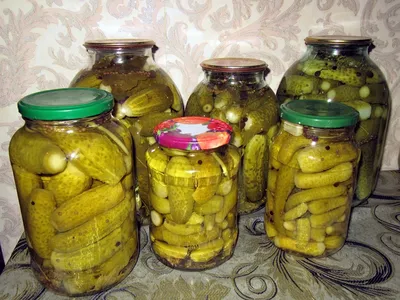 Огурец Конни F1 0,3 г Тимирязевский питомник