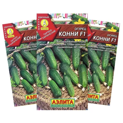 Семена Огурец, Конни F1, 0.3 г, цветная упаковка, ЭлитАгро в Россоши: цены,  фото, отзывы - купить в интернет-магазине Порядок.ру