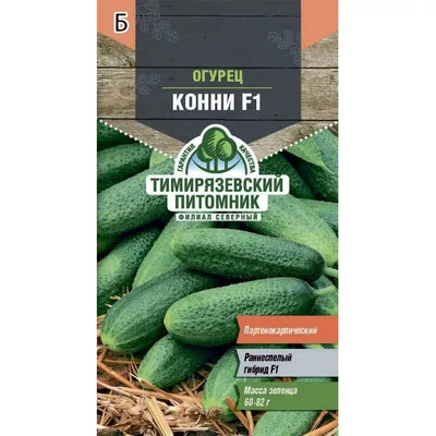 Старые добрые огурцы Конни. Характеристика сорта, особенности ухода и  тонкости получения отличного урожая | Идеальный огород | Дзен