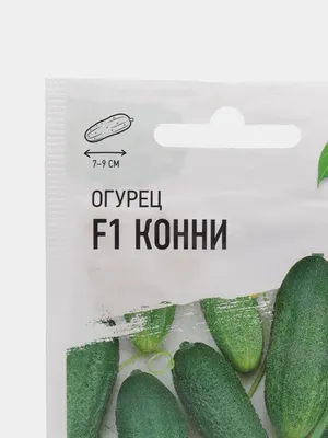 Рассада Огурец Конни F1 № 46 партенокарпический в кассете 6 штук  раннеспелый - купить в Москве: цена 299 руб. Фото, описание, технические  характеристики, отзывы.