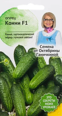 Семена Огурец Конни F1 в цветной упаковке Аэлита в Воронеже: цены, фото,  отзывы - купить в интернет-магазине Порядок.ру