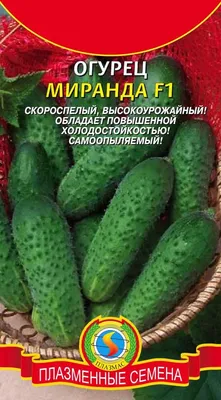 Огурец МИРАНДА F1. Плазменные семена