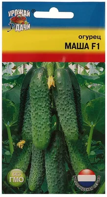 Семена Огурец \"Маша\" F1, 8 - 9 шт. — купить в интернет-магазине по низкой  цене на Яндекс Маркете