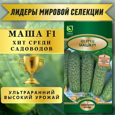 Огурец Маша F1, семена Дарит Black Edition 7шт (400) в ТПК РОСТИ - ТПК Рости