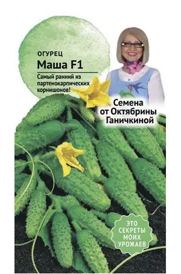 Огурец корнишон Маша F1 (250 сем.) купить семена по цене 1 274 ₽ за 250 сем.
