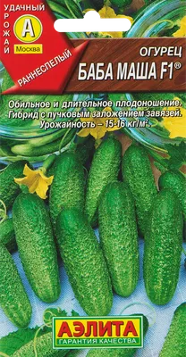 Семена огурцов Маша F1 купить в Украине | Веснодар