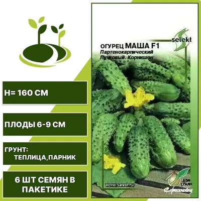 Огурец Маша F1 50 семян купить по выгодной цене в интернет-магазине