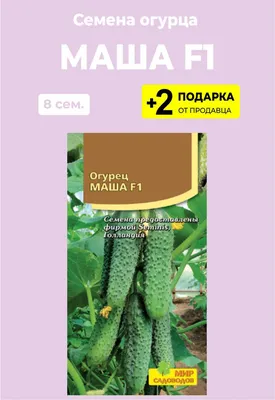 Огурцы ПОИСК Агрохолдинг ogur8 - купить по выгодным ценам в  интернет-магазине OZON (232755992)