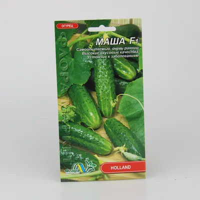 Огурец Маша F1, семена купить по цене 100 ₽ в интернет-магазине KazanExpress