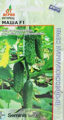Семена огурцов | огурец маша f1 15 семян партенокарпический ультраранний,  империя семян