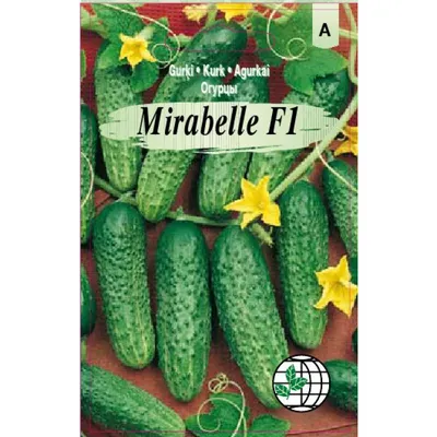 Огурец Мирабелла F1 | Mirabelle F1, Seminis купить оптом и в розницу,  профессиональные семена в Harvest-center Украина
