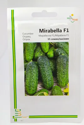 МИРАБЕЛЛ F1 / MIRABELLE F1 - огурец партенокарпический, Seminis купить в  Украине - цена, фото, отзывы | Agrolife