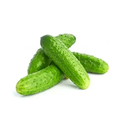 Огурец Мирабелла F1 10 шт Gl Seeds - купить по лучшей цене в  Днепропетровской области от компании \"Agroretail.com.ua\" - 519602242