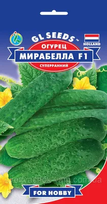 Семена огурца Мирабелл (MIRABELLE) F1 250 семян (Мирабел) - купить по  лучшей цене в Одесской области от компании \"AGROTEREM\" - 25815387