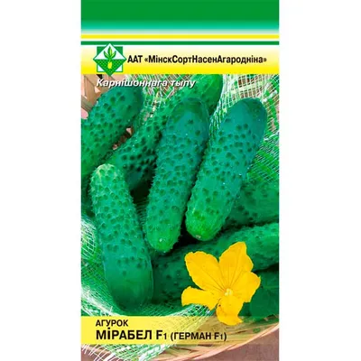 Купить семена огурца Мирабелл F1 (Seminis, Голландия) почтой | «ФАЗЕНДА»