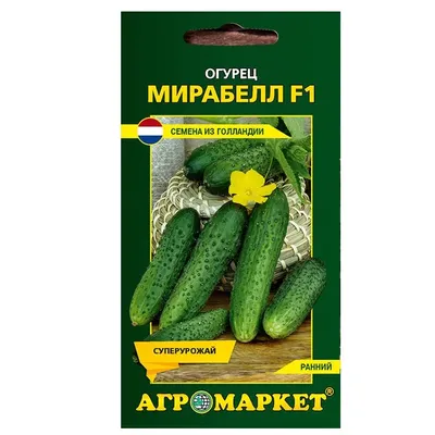 Cucumber Mirabelle F1 Super-yielding! - YouTube