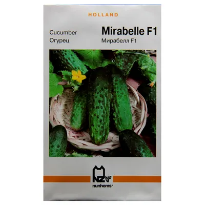 Семена огурца Мирабелл (MIRABELLE) F1 250 семян (Мирабел) - купить по  лучшей цене в Одесской области от компании \"AGROTEREM\" - 25815387