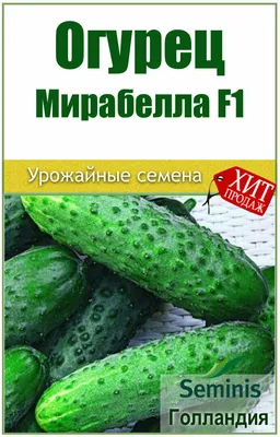Огурец Мирабелла F1,10шт (Франция) купить в интернет-магазине