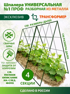 Высота шпалеры при выращивании культуры огурца | Гавриш