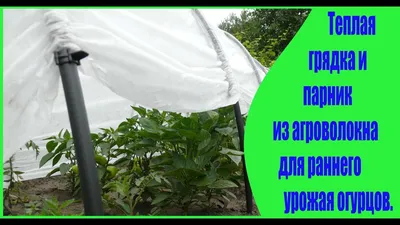 Теплая грядка и парник из агроволокна для раннего урожая огурцов. - YouTube