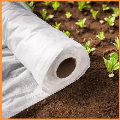 Кормим огурцы для богатого урожая: 4 стадии внесения удобрений | AgroMarket  интернет магазин семян